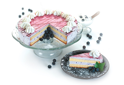 A blueberry yogurt torte.